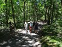 2014-07-03 12-51-20 Rando foret de Nemours DLe